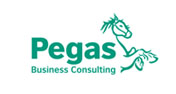 Pegas Business Consulting
